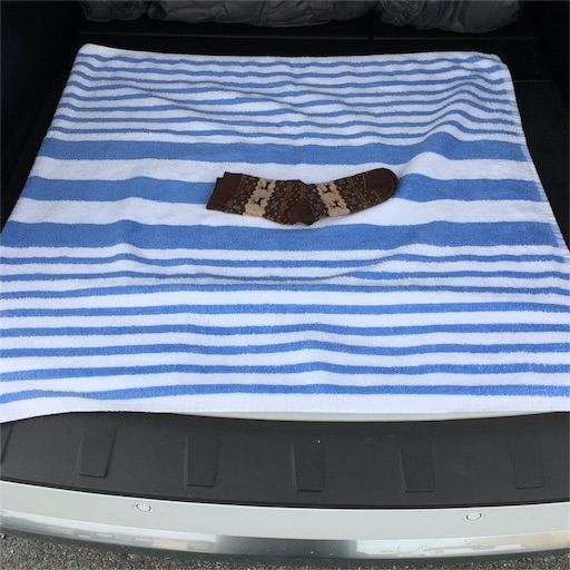 f:id:papiko8-l:20160709024447j:image