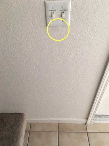 f:id:papiko8-l:20170201081014j:image