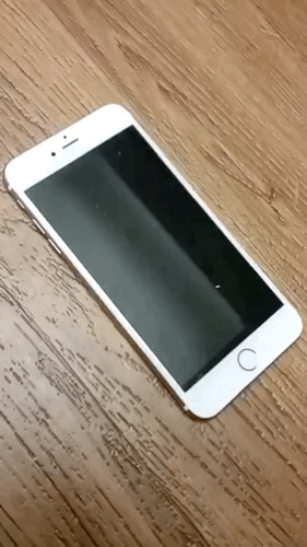 f:id:papiko8-l:20170410064810g:plain f:id:papiko8-l:20170410064810g:plain