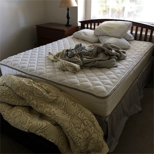 f:id:papiko8-l:20170415070946j:image