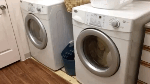 f:id:papiko8-l:20170415072113g:plain