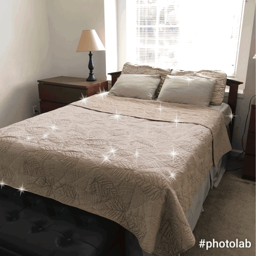 f:id:papiko8-l:20170415073518g:plain