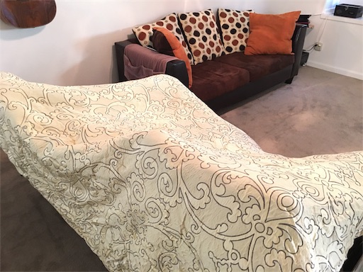 f:id:papiko8-l:20170415075248j:image