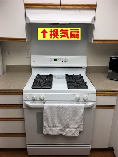 f:id:papiko8-l:20170518095936j:image