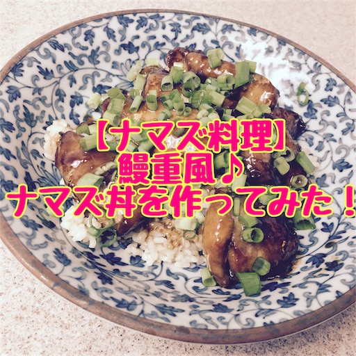 鰻重風ナマズ丼の作り方 雑記ブログinアメリカ