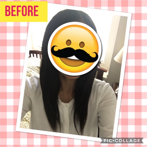 f:id:papiko8-l:20170621030053j:image