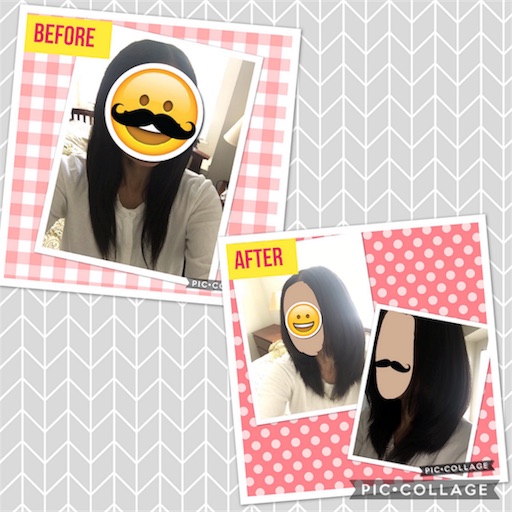 f:id:papiko8-l:20170621032908j:image