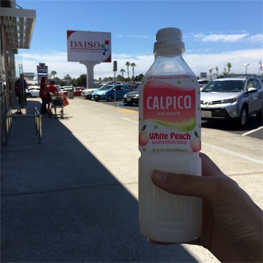 f:id:papiko8-l:20170801050248j:image