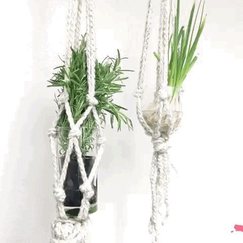 f:id:papiko8-l:20170810035955g:plain