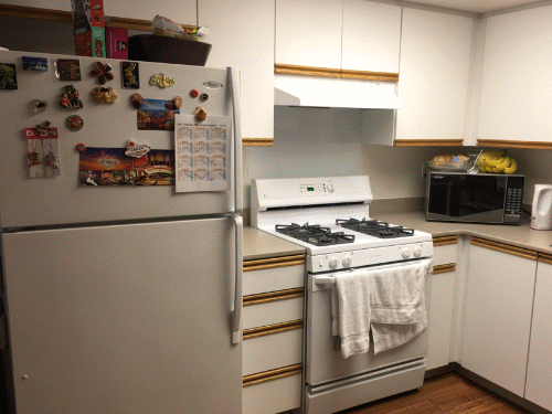 f:id:papiko8-l:20170810040756g:plain