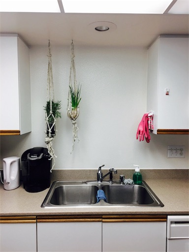 f:id:papiko8-l:20170810042018j:image