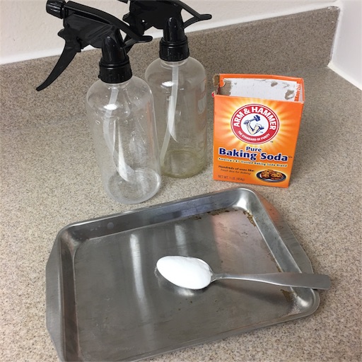 f:id:papiko8-l:20170917034244j:image