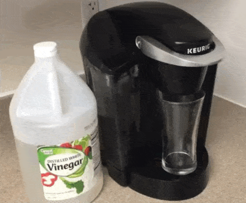 f:id:papiko8-l:20171004001008g:plain