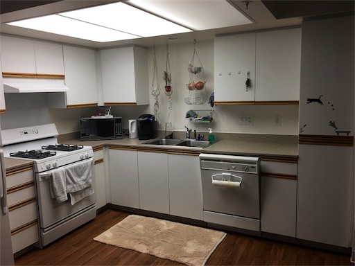 f:id:papiko8-l:20171004004959j:image