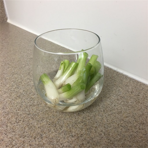 f:id:papiko8-l:20171129212927j:image f:id:papiko8-l:20171129212927j:image