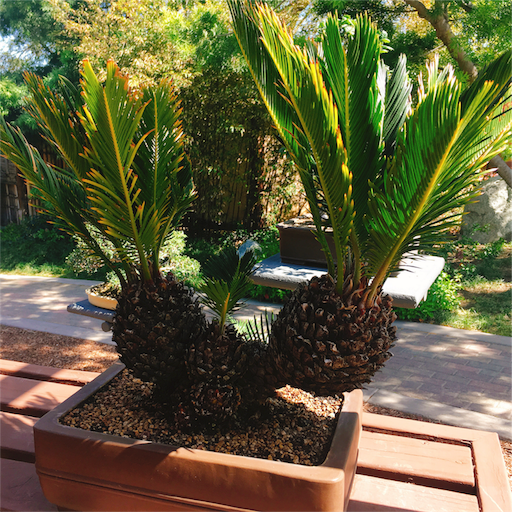 f:id:papiko8-l:20180416003313p:image