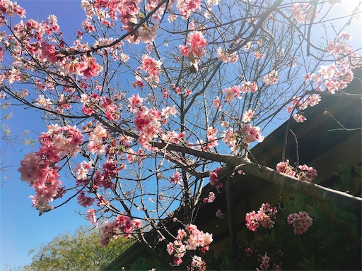 f:id:papiko8-l:20180416003520j:image