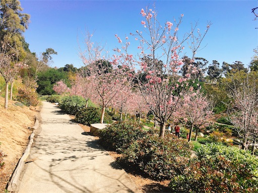 f:id:papiko8-l:20180416003634j:image