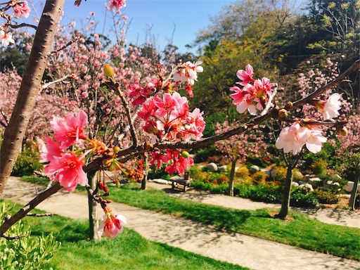 f:id:papiko8-l:20180416003805j:image