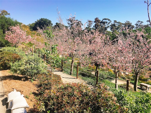 f:id:papiko8-l:20180416003843j:image