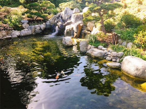 f:id:papiko8-l:20180416004407j:image