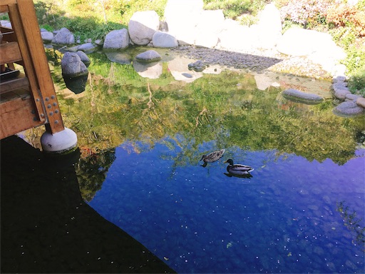 f:id:papiko8-l:20180416004432j:image