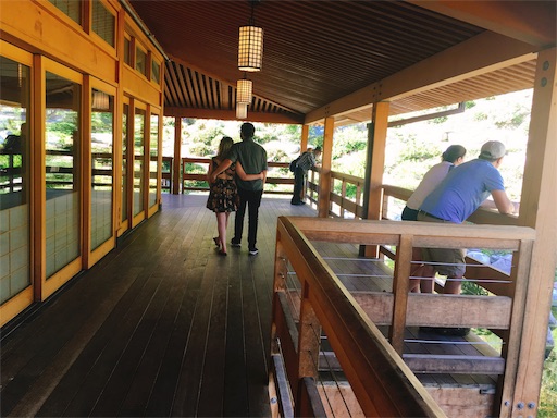 f:id:papiko8-l:20180416004511j:image