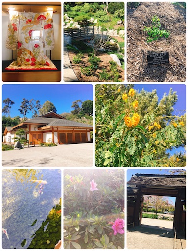 f:id:papiko8-l:20180416005601j:image