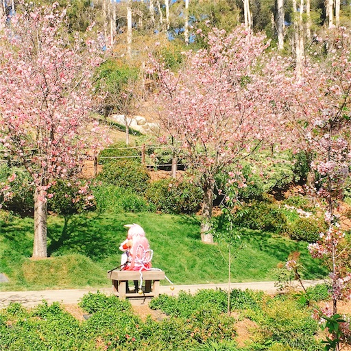 f:id:papiko8-l:20180416011139j:image