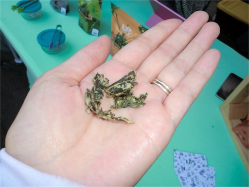 f:id:papiko8-l:20180910031506j:image