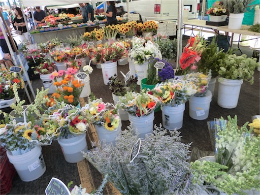 f:id:papiko8-l:20180910042336j:image