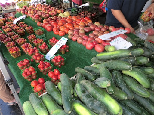 f:id:papiko8-l:20180910042454j:image