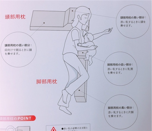 f:id:papiko8-l:20181207032118j:image f:id:papiko8-l:20181207032118j:image