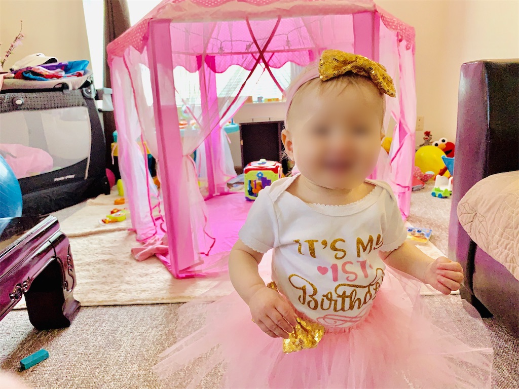 着画 子供の誕生日の可愛いお洋服 1歳女の子 雑記ブログinアメリカ