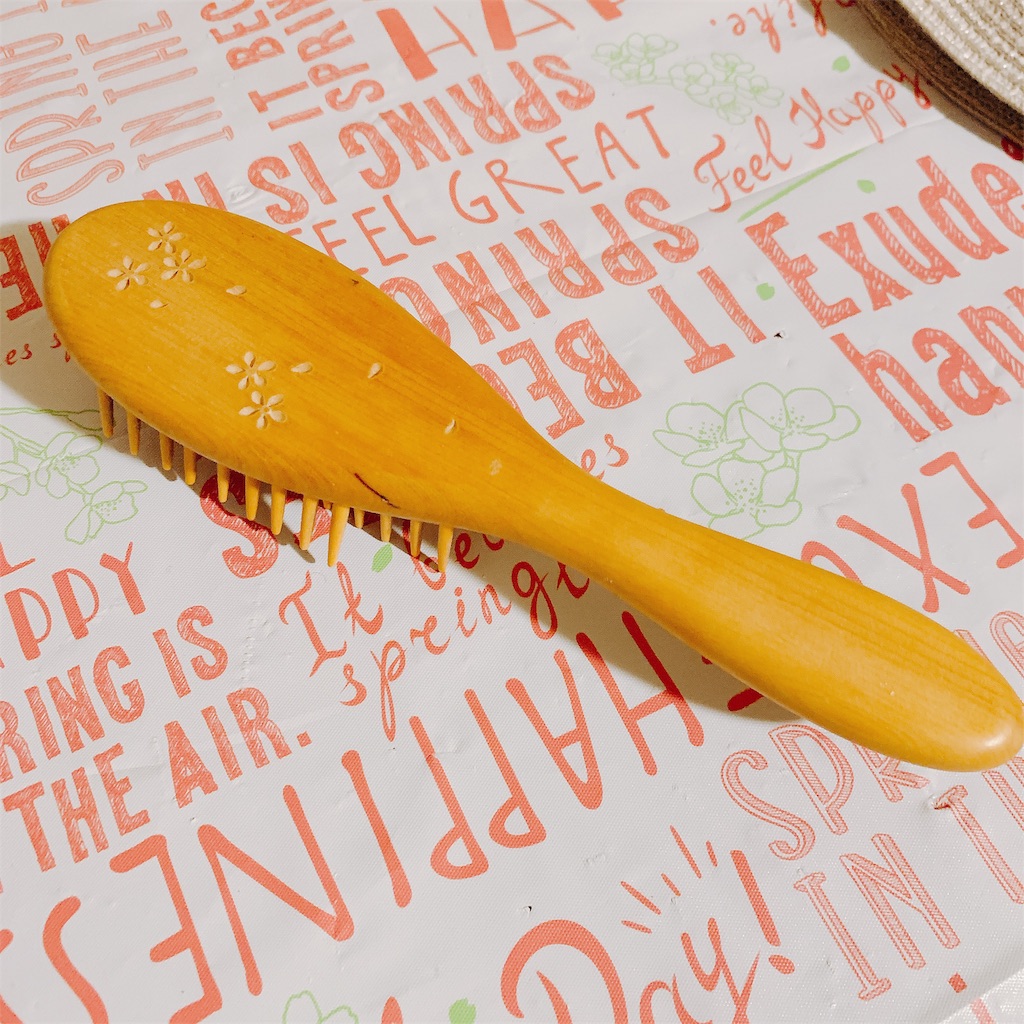 f:id:papiko8-l:20190514142029j:image