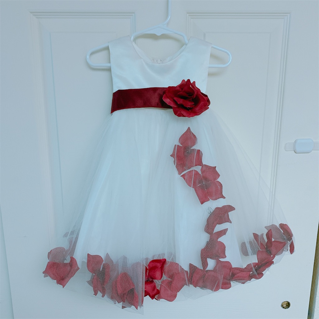 f:id:papiko8-l:20190615033001j:image