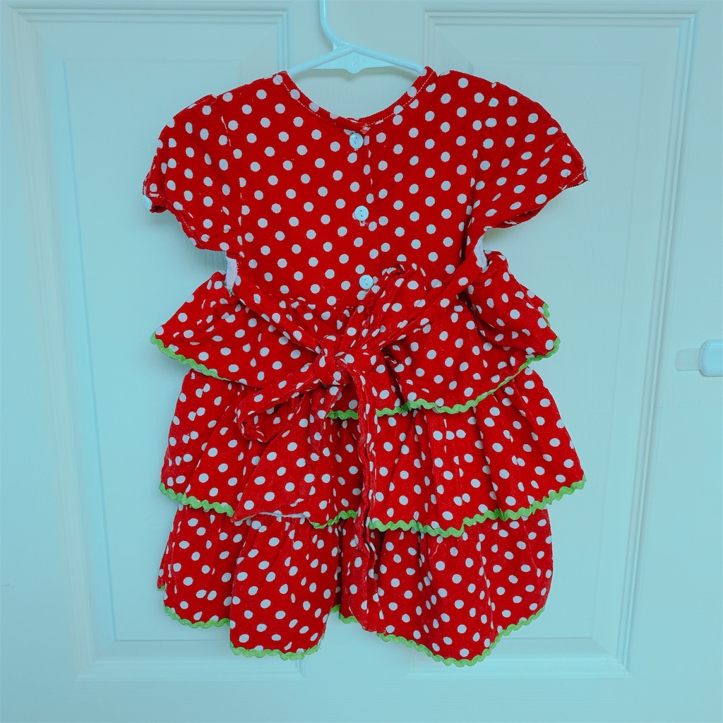 f:id:papiko8-l:20190615033817j:image