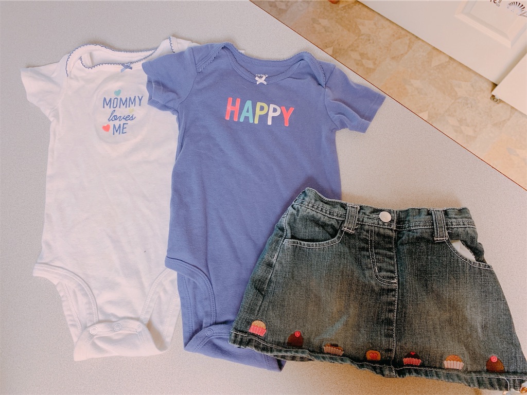 f:id:papiko8-l:20190615034123j:image