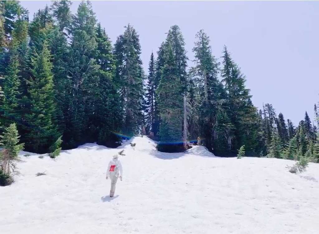 f:id:papiko8-l:20190618210035j:image