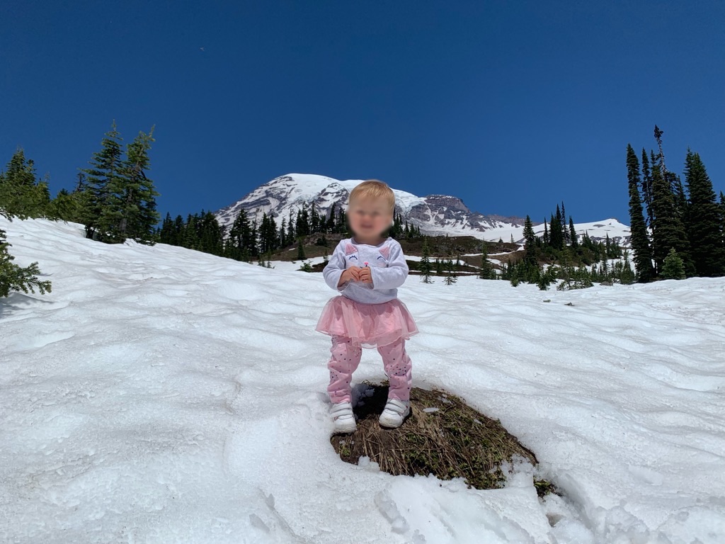 f:id:papiko8-l:20190618210625j:image