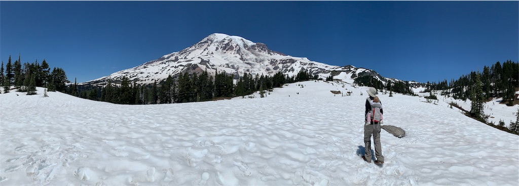 f:id:papiko8-l:20190618211615j:image