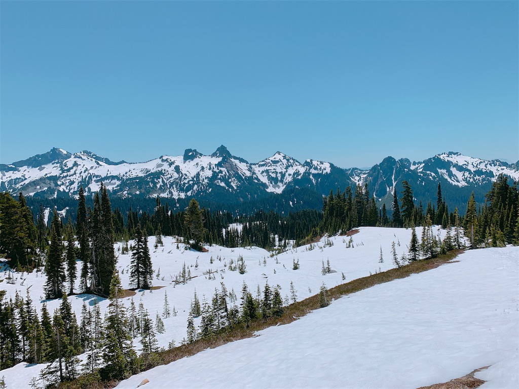 f:id:papiko8-l:20190618211622j:image