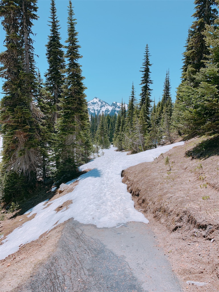 f:id:papiko8-l:20190618212151j:image