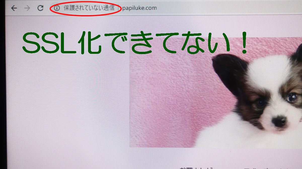 f:id:papiluke:20191201083605j:plain f:id:papiluke:20191201083605j:plain