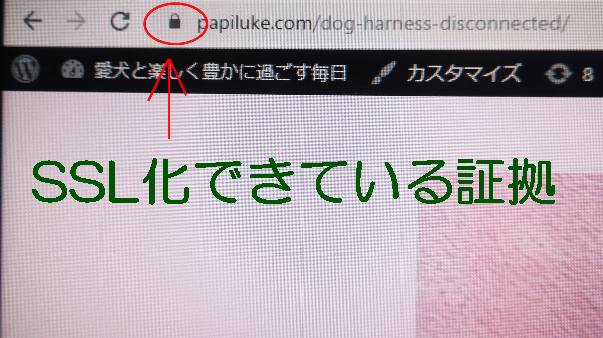 f:id:papiluke:20191201083619j:plain f:id:papiluke:20191201083619j:plain