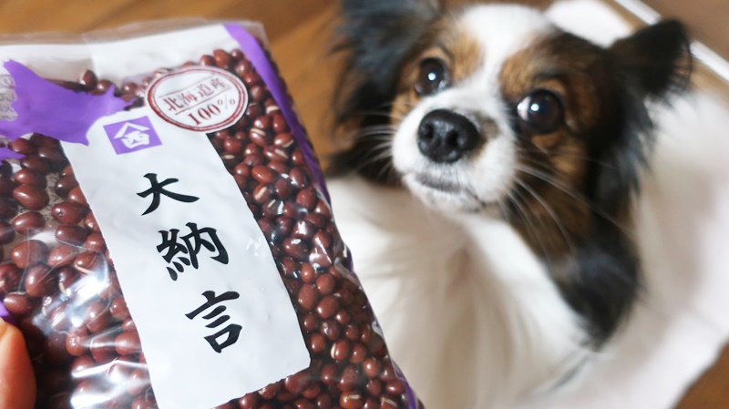 我が家の餅つき あんこはしょっぱい塩餡なんですよ。 - 「犬に