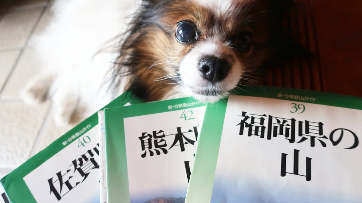 書籍「福岡県の山」「熊本県の山」「佐賀県の山」3冊と一緒に写るパピヨン サファイア
