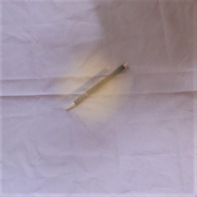 f:id:papiocamera:20200527153603j:plain