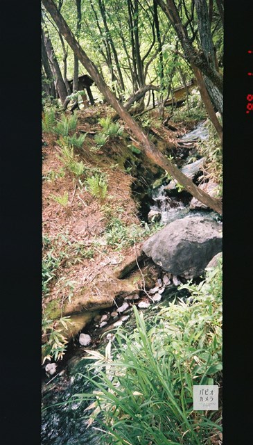 f:id:papiocamera:20200612144211j:plain