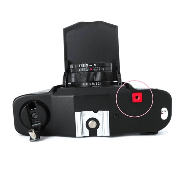 f:id:papiocamera:20200626162740j:plain f:id:papiocamera:20200626162740j:plain